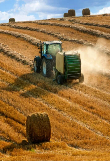 Agriculture and agri-food investment in the Battle River region